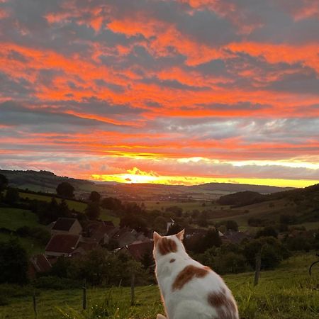 La Petite Maison Dans La Campagne Massingy-lès-Vitteaux Exteriör bild