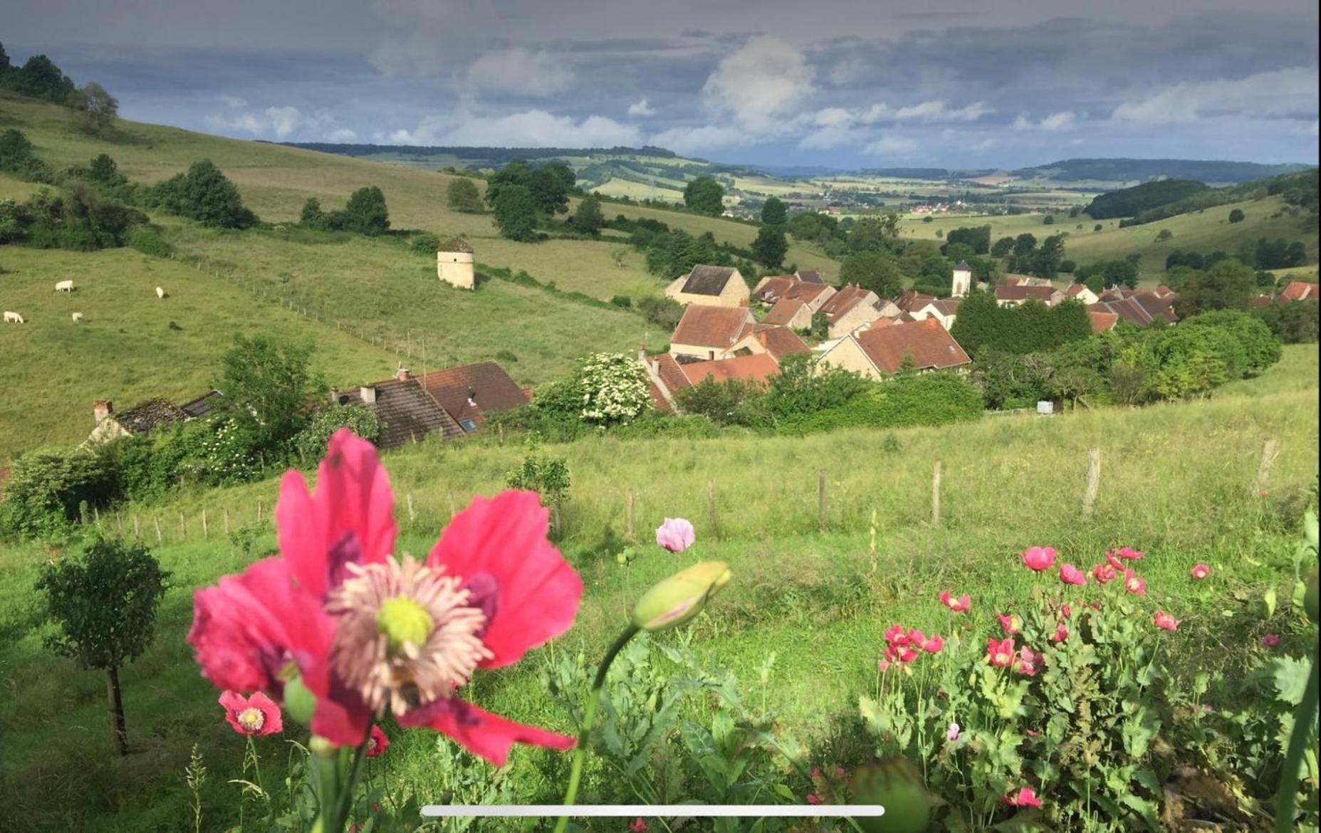La Petite Maison Dans La Campagne Massingy-lès-Vitteaux Exteriör bild